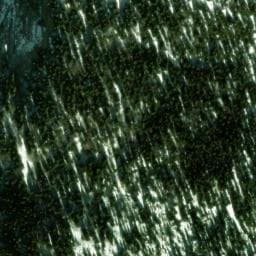 Vue satellite de Cabane des Carteaux à Sassenage