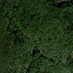 Vue satellite de Cabane de Rio Grand à Bassignac-le-Haut