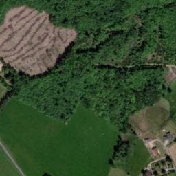 Vue satellite de La Méchaussie à Ladignac-sur-Rondelles