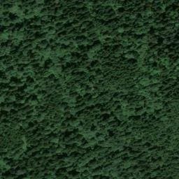 Vue satellite de Cabane forestière des Descendues à Vaulnaveys-le-Haut