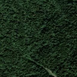 Vue satellite de Cabane des Sollilauds à Livet-et-Gavet