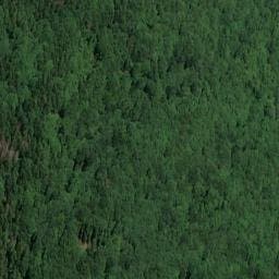 Vue satellite de Cabane forestière de Charcotin à Saint-Pierre-de-Mésage