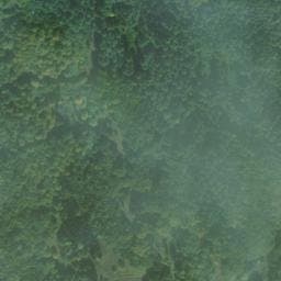 Vue satellite de Cabane forestière de Font Bessou à Château-Bernard