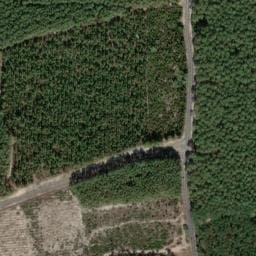 Vue satellite de Camping Le Tedey à Lacanau
