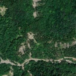 Vue satellite de Cabane forestière du Riffol à Roissard