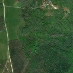 Vue satellite de Lo Gorissado à Saint-André-d'Allas