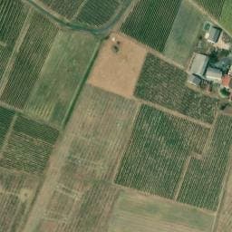 Vue satellite de Vignobles Maurin à Baigneaux