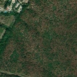 Vue satellite de Floral à Savasse