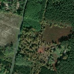 Vue satellite de Camping Vert Bord'Eau à Balizac