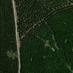 Vue satellite de Abri forestier du Mont Fédio (Mt Lozère) à Les Bondons