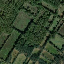 Vue satellite de Caselle (37) à Promilhanes