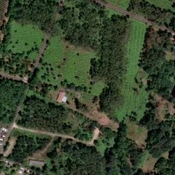 Vue satellite de Camping Calède à Parentis-en-Born