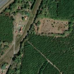 Vue satellite de Camping Au P'tit des Landes à Labouheyre