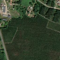 Vue satellite de A la ferme à Saint-Julien-en-Born