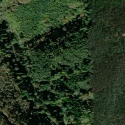 Vue satellite de Abri forestier de Rousses à Saint-Sauveur-Camprieu