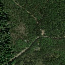 Vue satellite de Cabane du Plan du Chataignier à Saint-Sauveur-Camprieu