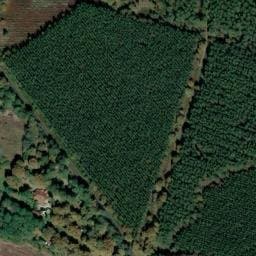 Vue satellite de Camping des Landes d'Armagnac à Betbezer-d'Armagnac