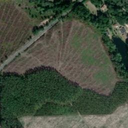 Vue satellite de Palika Lodge à Castets