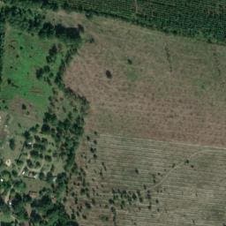 Vue satellite de Aire naturelle Petit-Jean à Saint-Michel-Escalus