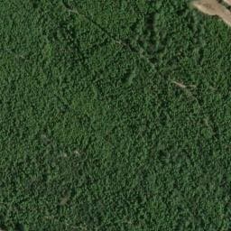 Vue satellite de Cabane de la St Sylvestre - R_BON_Comb_003 à Souvignargues
