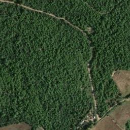 Vue satellite de Cabane du Cagarâoulâïré - R_BON_Comb_003 à Souvignargues