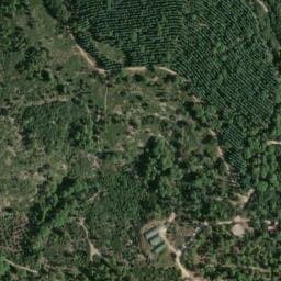 Vue satellite de Cabane de Bosc à Congénies