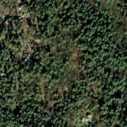 Vue satellite de Camping Domaine De La Bergerie - Vence à Courmes