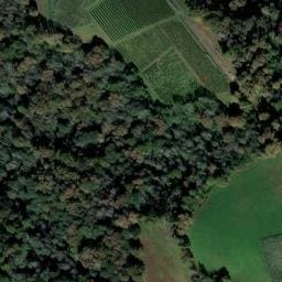 Vue satellite de ANC des Coges à Lasseube