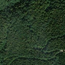 Vue satellite de Maison Forestière du Bartat à Prayols