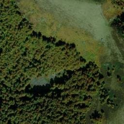 Vue satellite de Cabane du Pas de Tartet à Sentenac-d'Oust