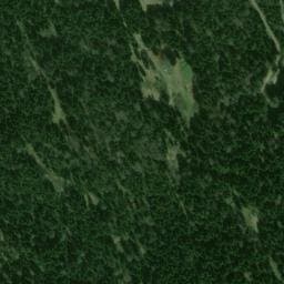 Vue satellite de Maison forestière de l'Orri à Freychenet