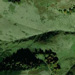 Vue satellite de Cabane de l'Artigue à Bordes-Uchentein