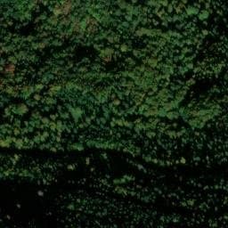 Vue satellite de Cabane de la Rauzine à Niort-de-Sault