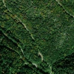Vue satellite de Refuge forestier de Laval à Niort-de-Sault
