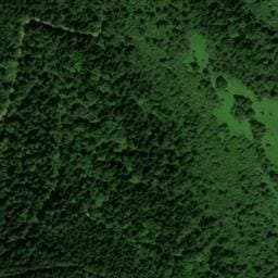 Vue satellite de Cabane forestière de Gestiès à Gestiès