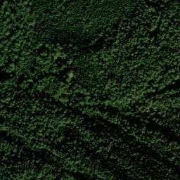 Vue satellite de Cabane forestière de Prunadière à Auzat
