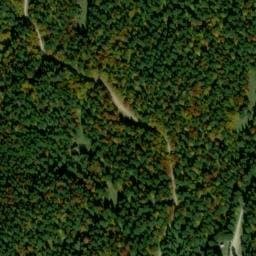 Vue satellite de Refuge forestier du Laurenti à Artigues