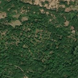 Vue satellite de Source de Forcili à Olmi-Cappella
