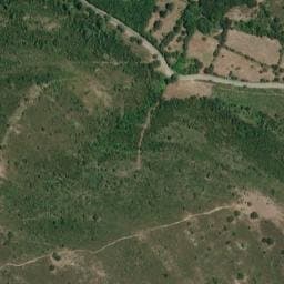Vue satellite de Fontaine de Diceppo à Piedigriggio