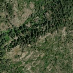 Vue satellite de Abri forestier de Forca à Soveria