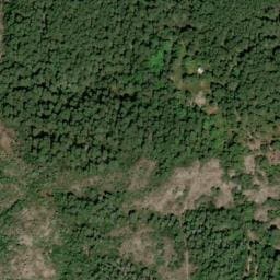 Vue satellite de Abri forestier de Lumiu à Serriera