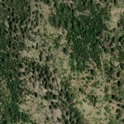 Vue satellite de Bergerie de Capanelle à Casamaccioli
