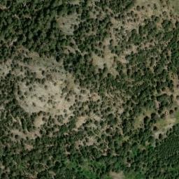 Vue satellite de Abri forestier d'Alzu à Corte