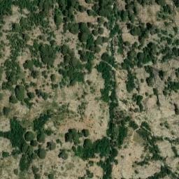 Vue satellite de Bergerie de Colga à Casamaccioli