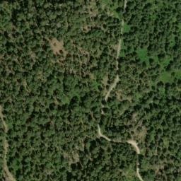 Vue satellite de Cabane O.N.F. de Vezzani à Muracciole