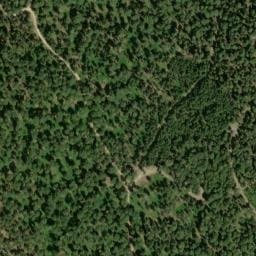 Vue satellite de Ancienne cabane O.N.F. de Vezzani à Rospigliani