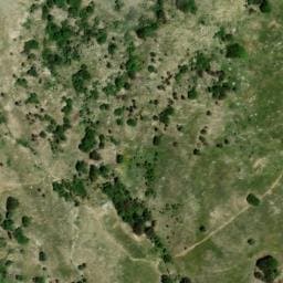 Vue satellite de Bergerie de Gialgone à Palneca